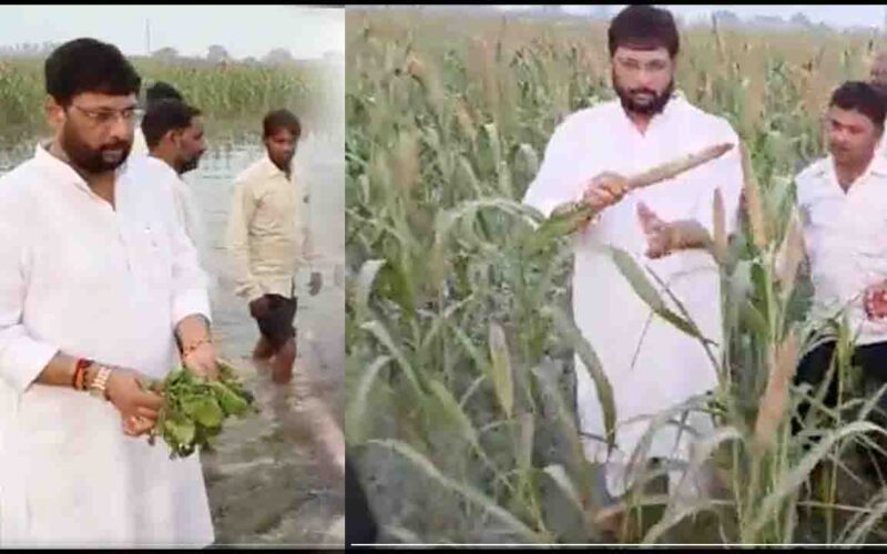 Mathura News: भाजपा विधायक राजेश चौधरी ने बाढ़ की वजह से तबाह हुई फसल का किया मुआयना, योगी सरकार से मुआवजा दिलाने का दिया भरोसा