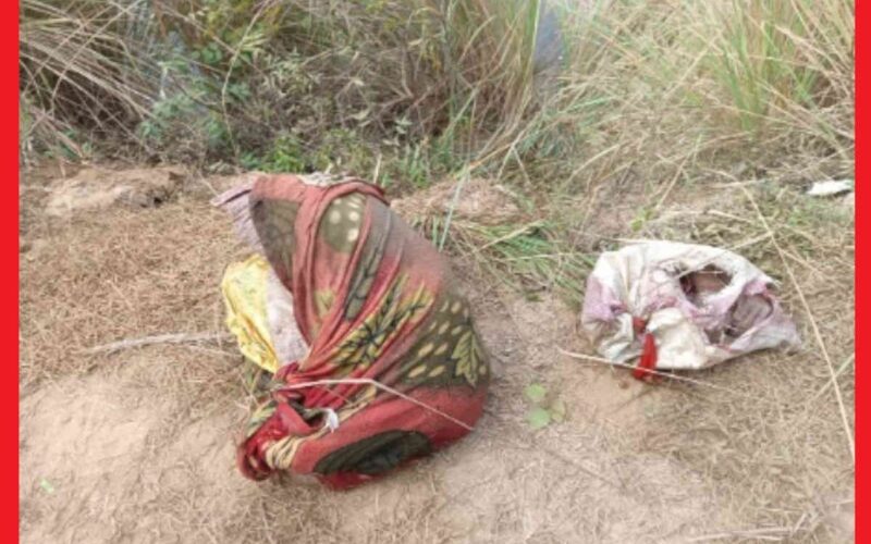 Sadhu murder, Rajasthan
