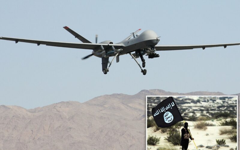 US Drone Attack: ड्रोन हमले में मारा गया आईएस का प्रमुख मुहाजिर, अमेरिकी सेना ने दी जानकारी