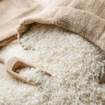 Non-Basmati Rice Export Ban
