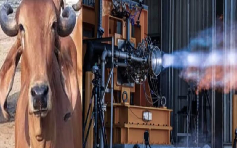 Japan: अंतरिक्ष एजेंसी ने बनाया गाय के गोबर से चलने वाला रॉकेट, सैटेलाइट में भी इस्तेमाल होगी ये तकनीक