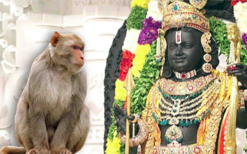 Ram Mandir: रामलला के दर्शन के लिए गर्भगृह में घुसा बंदर,देख सुरक्षाकर्मी हुए हैरान