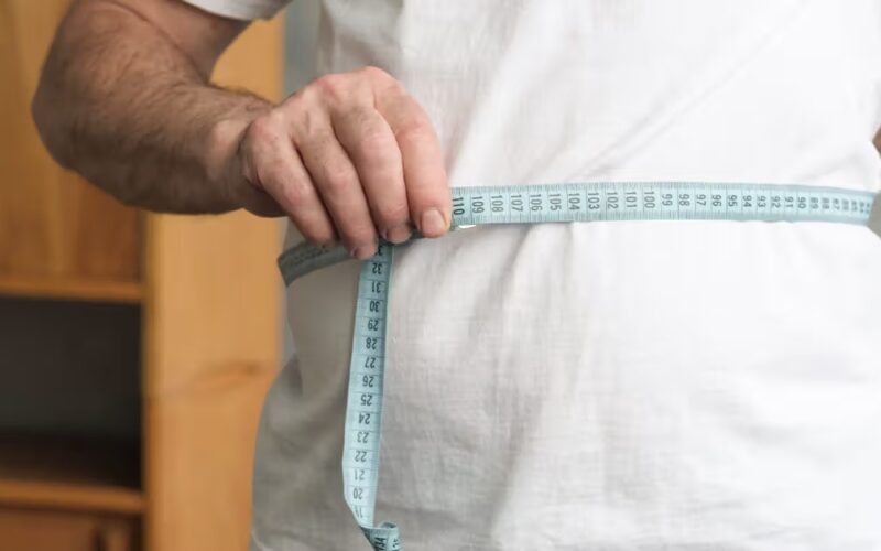 Visceral fat: क्या आपके पेट पर भी बढ़ रही है चर्बी? हो सकती हैं ये खतरनाक बीमारियां