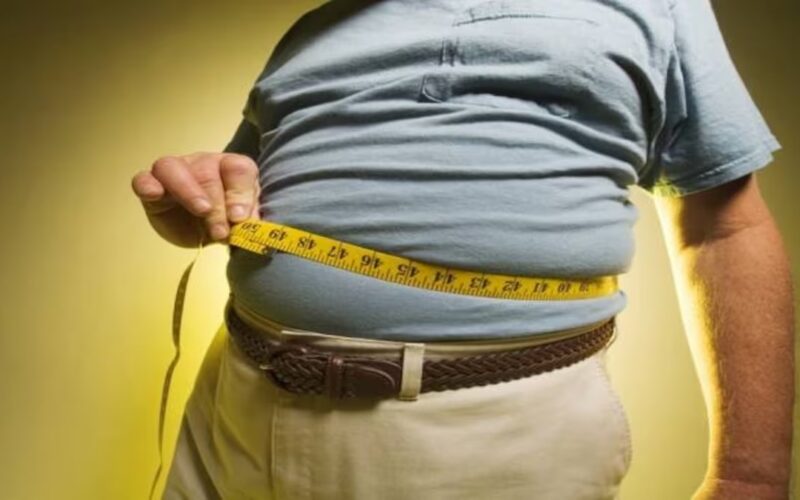 Health Tips: मोटापे से अगर हो परेशान तो अपनी डाइट में इसको कर लो ऐड, वजन कम करने में मिलेगी राहत